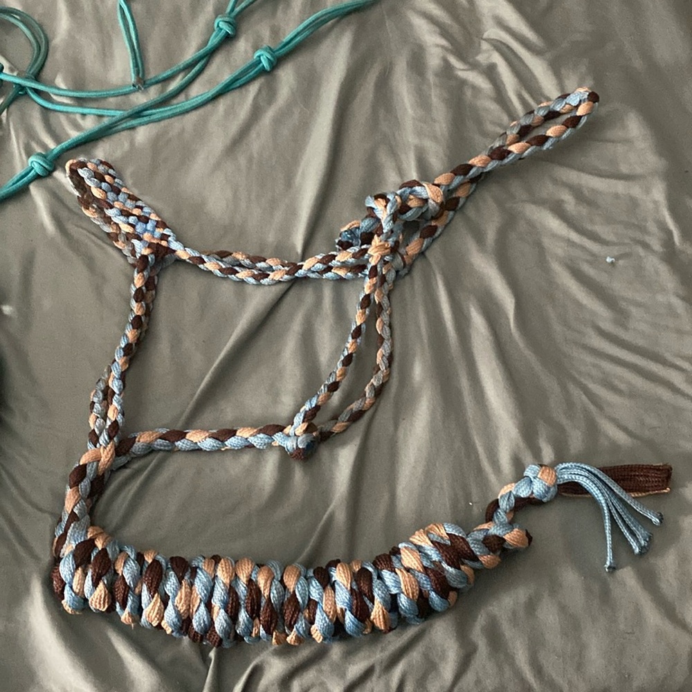 horse size rope and mule tape halters with leads